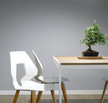 White chair and wooden table with bonsai tree on top
